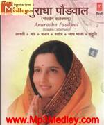 Anuradha Paudwal album cover