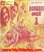 Banavasi 1948 album cover