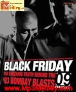 Black Friday 2007 album cover