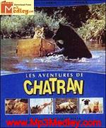 Chatran 1988 album cover