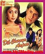 Dil Churaya Aapne 2001 album cover