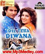 Dil Tera Deewana 1996 album cover