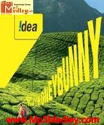 Honey bunny idea album cover
