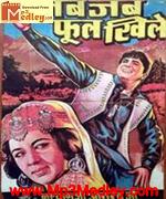 Jab Jab Phool Khile 1965 album cover