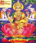 Laxmi puja, Ganesh chaturthi, Navratri, Shivratri