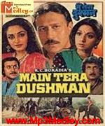 Main Tera Dushman 1988 album cover