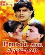 Phool Aur Angaar 1993 album cover