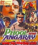 Phool Bane Angarey 1991 album cover