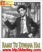 Ramu Tu Deewana Hai 1980 album cover