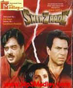 Shehzaade 1989 album cover